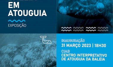 Centro Interpretativo de Atouguia da Baleia comemora o seu 11º aniversário com uma exposição única em Portugal