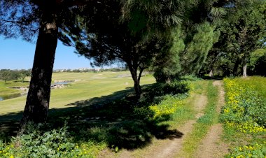 Vilamoura Nature Run promete animar sábado de Páscoa