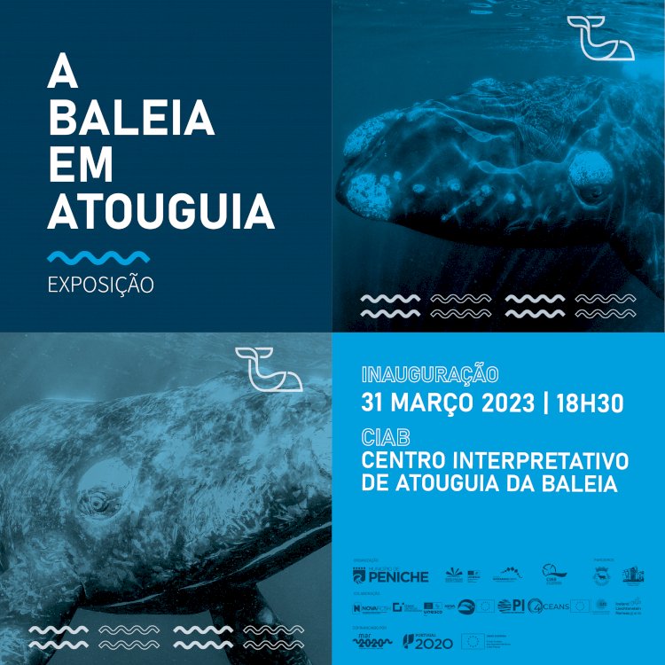 Centro Interpretativo de Atouguia da Baleia comemora o seu 11º aniversário com uma exposição única em Portugal