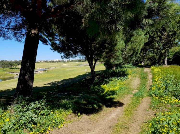 Vilamoura Nature Run promete animar sábado de Páscoa