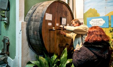 Festa do Vinho e das Adegas, com Rosinha e José Cid com Banda