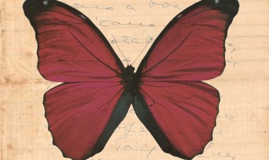 Boca de Cena apresenta “O Solar dos Vermelhos” adaptada da obra homónima de Manuel de Boaventura