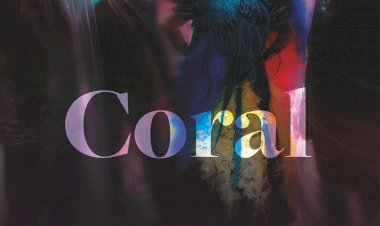 Espectáculo com The Gift