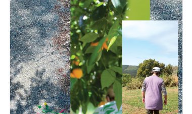 Margarida Girão inaugura exposição na Sertã a 22 de Abril