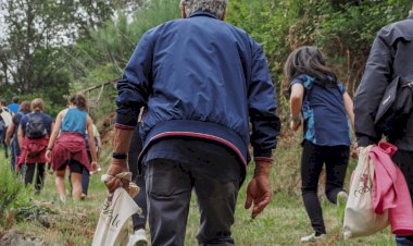 Rota dos Laranjais abre calendário de percursos pedestres em Tondela