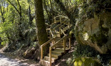 Passadiços de madeira integram percurso entre o Palácio da Pena e Santa Eufémia