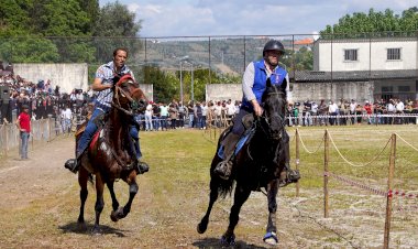 Lamego volta a promover a beleza da arte equestre