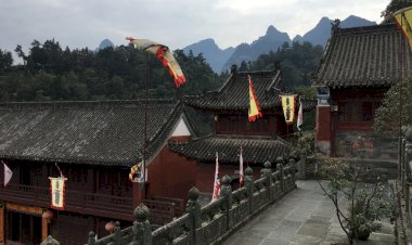 Museu do Oriente ensina a potenciar energias  positivas no dia-a-dia