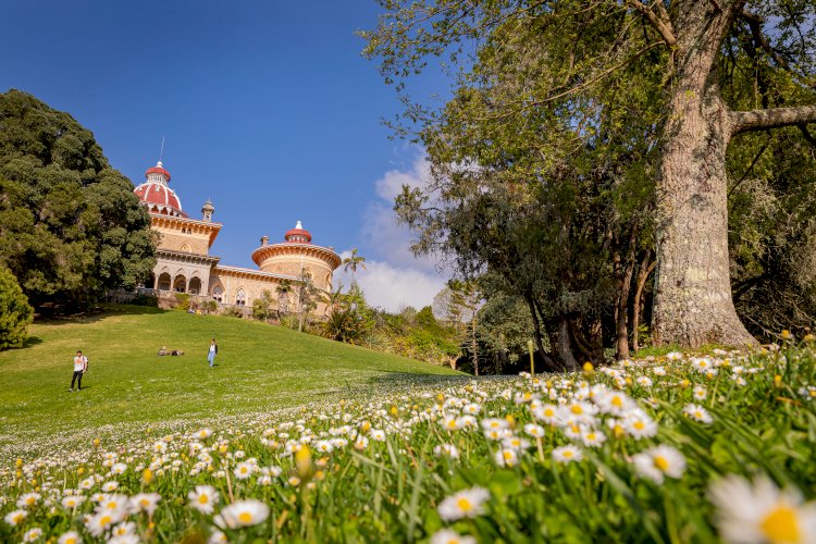 Palácio de Monserrate celebra a Primavera com música