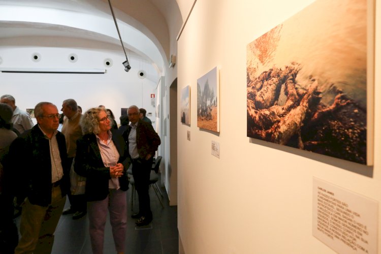 Exposição de fotografia “Observações sobre a natureza” na Biblioteca Municipal de Reguengos de Monsaraz