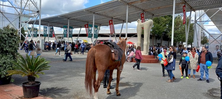 De 27 de Abril a 1 de Maio a 39ª Ovibeja deverá ser uma das maiores de sempre