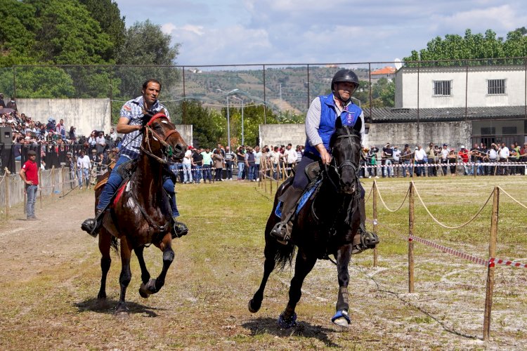 Lamego volta a promover a beleza da arte equestre