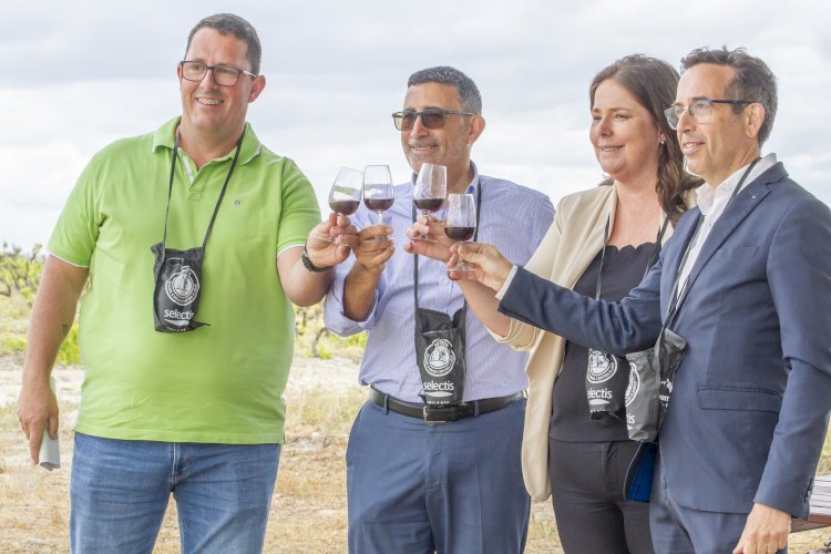 Mostra de Vinhos em Fernando Pó espera a melhor edição de sempre