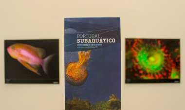 “Portugal Subaquático” e “Margens com Vida” para visitar em Caminha e Vila Praia de Âncora