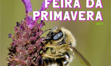 Feira de Primavera no Município de Constância