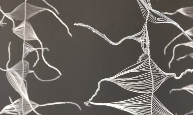 "Reminiscência ou Nostalgia?": Ana Lima-Netto