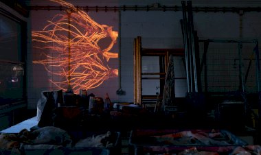 Investigação da Universidade de Coimbra serve de inspiração para exposição de artista visual