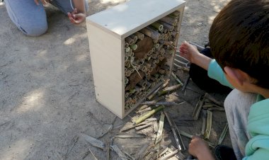 Loulé fomenta biodiversidade em meio urbano com instalações de abrigos aves, insectos e morcegos