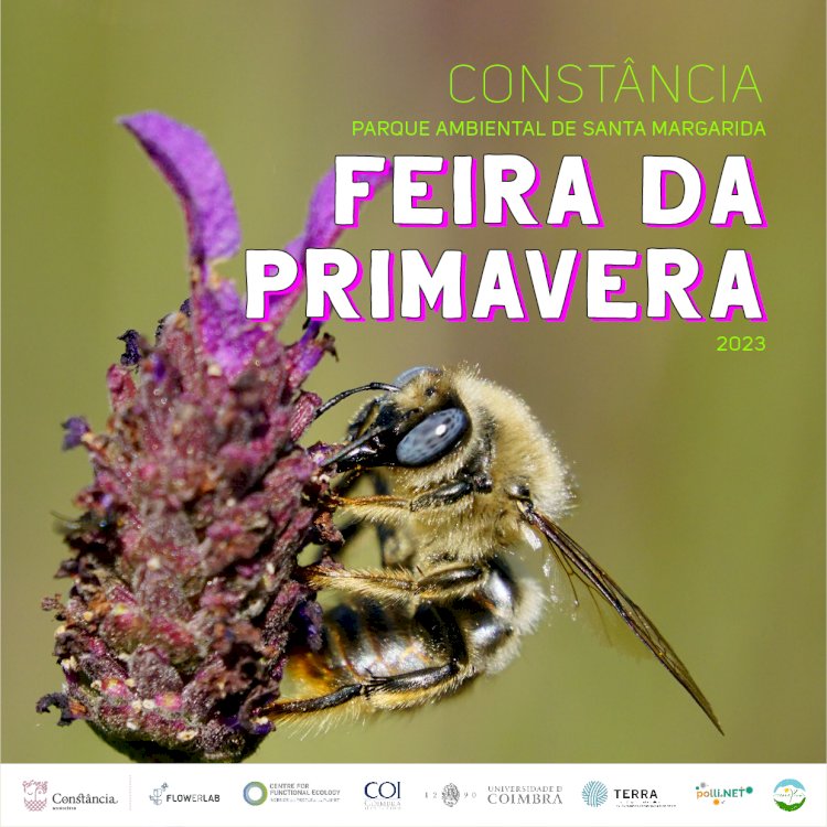 Feira de Primavera no Município de Constância