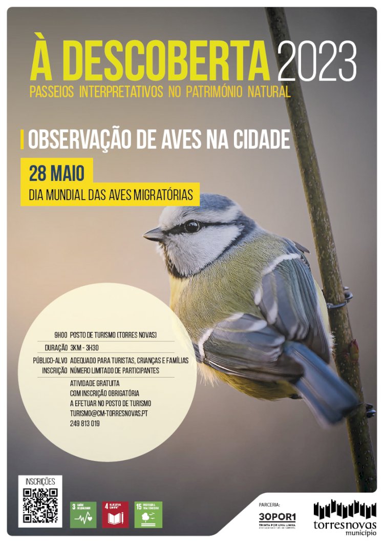 Passeio Interpretativo no Património Natural | Observação de Aves na cidade