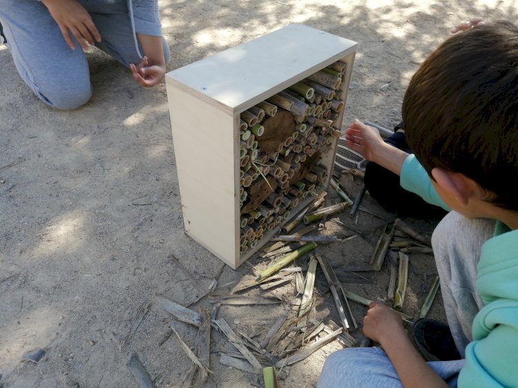 Loulé fomenta biodiversidade em meio urbano com instalações de abrigos aves, insectos e morcegos