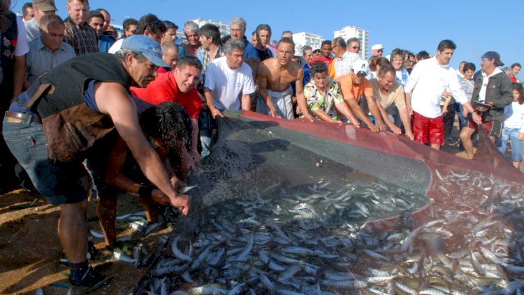 Petiscos e Música celebram pescadores de Quarteira