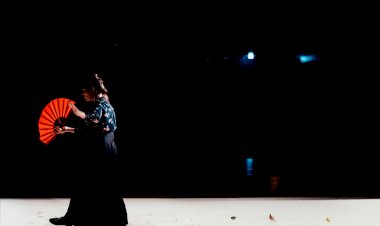 Teatro Viriato acolhe a estreia de “Intimidades com a Terra” de Joana Craveiro