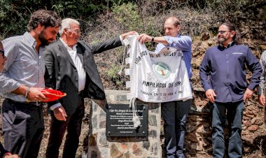 Moinho Porto Esteiro renasce no Souto do Brejo - Pampilhosa da Serra