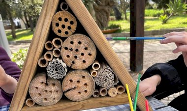 Dia 20 de Junho abrem as inscrições para as Férias de Verão Culturais e Ambientais  no Município de Portimão