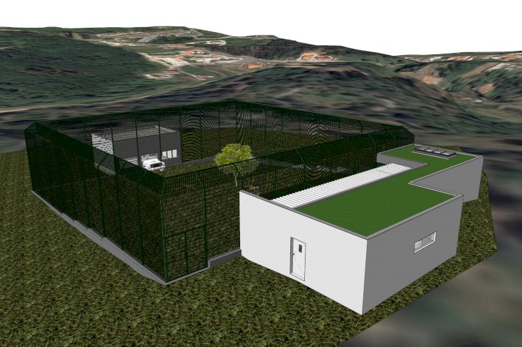 Parque Biológico de Gaia prepara-se para receber dois linces ibéricos