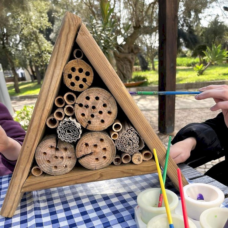 Dia 20 de Junho abrem as inscrições para as Férias de Verão Culturais e Ambientais  no Município de Portimão