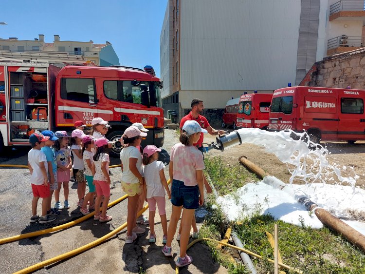 Ludoteca de Verão ocupa tempos livres das crianças em Tondela