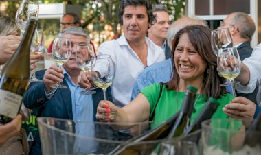 Tondela dá a provar os melhores vinhos brancos do país