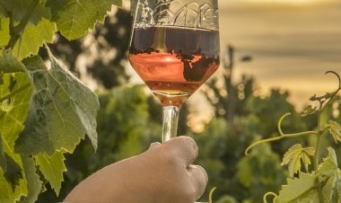 5.º Festival de Moscatel em Palmela