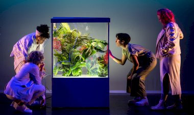 No Teatro São Luiz, o Outono começa logo em Setembro