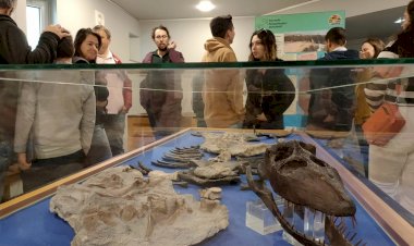 Exposição “plesiossauro de São Pedro de Moel” patente nos cosmos