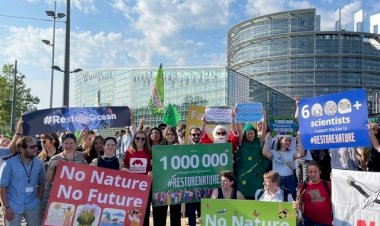 Restauro de Natureza: lei sobrevive mas enfraquecida