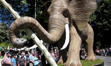 A festa dos moleiros