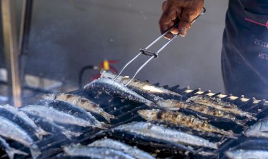 Festival da Sardinha no Município de Ílhavo foi um dos melhores de sempre