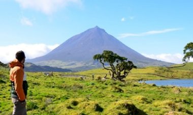 O canal tramou Margarida