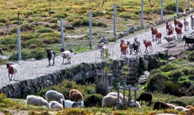 Modelo Turístico Responsável e Sustentável