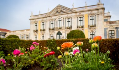 Monumentos de Sintra desvendam os segredos das plantas e a sua importância na história