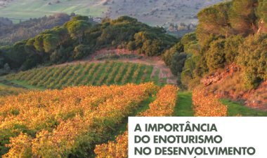 Fórum Turismo Palmela 2023 - Enoturismo e Territórios Vinhateiros