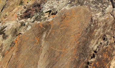 “Génio criativo”