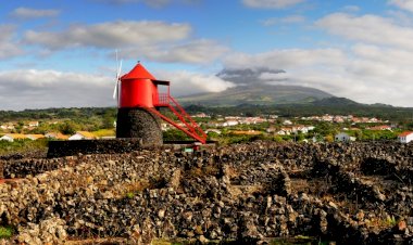 Brindar com verdelho e subir ao Pico