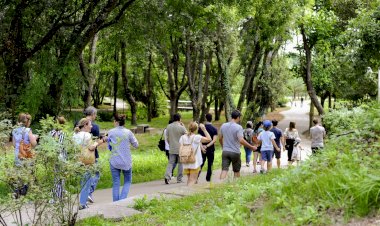 Observar os insectos e… os astros no Parque do Rio Ul