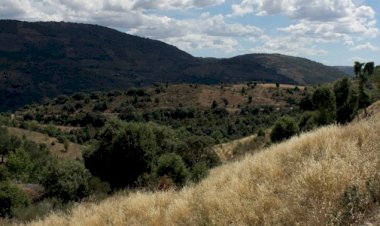 No pulmão Transmontano