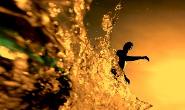 Museu de Portimão apresenta exposição fotográfica “O Fantástico Mundo Surfistic”