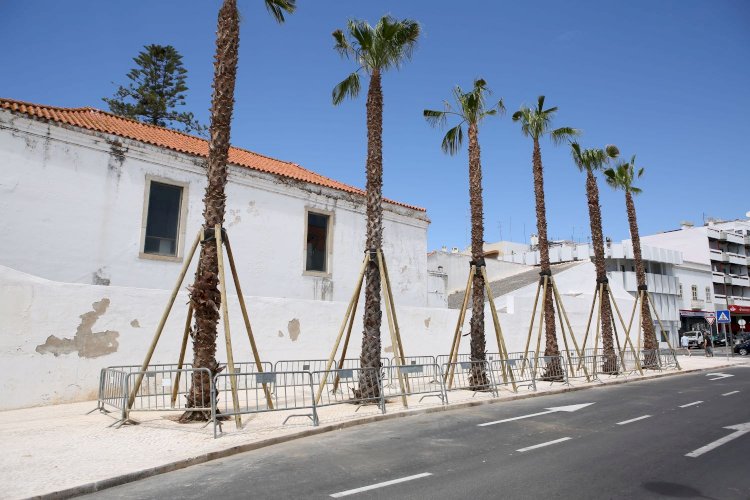 Município de Portimão avança na criação do futuro Núcleo Museológico Casa Manuel Teixeira Gomes