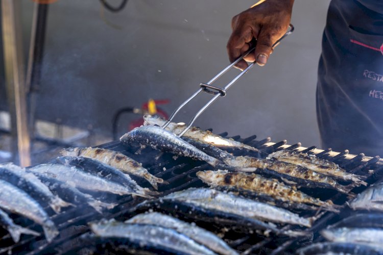 Festival da Sardinha no Município de Ílhavo foi um dos melhores de sempre